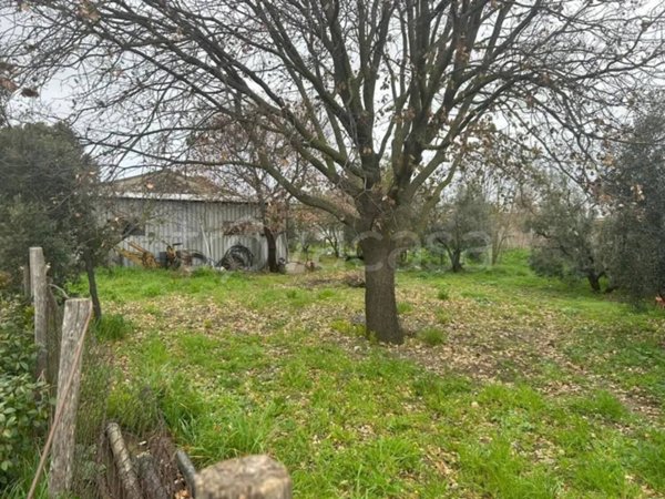 locale di sgombero in vendita a Capalbio