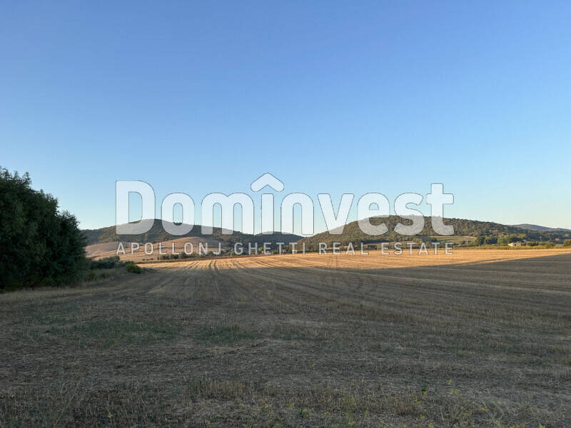 terreno agricolo in vendita a Capalbio