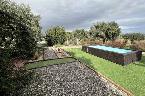 azienda agricola in vendita a Capalbio in zona Borgo Carige