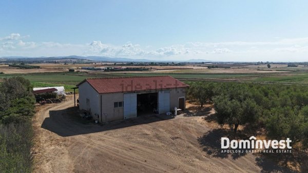 quadrivano in vendita a Capalbio