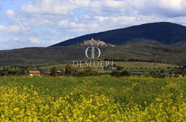casa indipendente in vendita a Capalbio