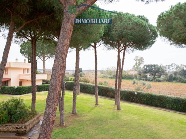 appartamento in vendita a Capalbio