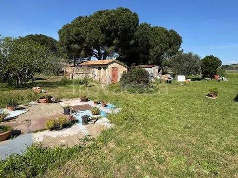 appartamento in vendita a Capalbio in zona Borgo Carige