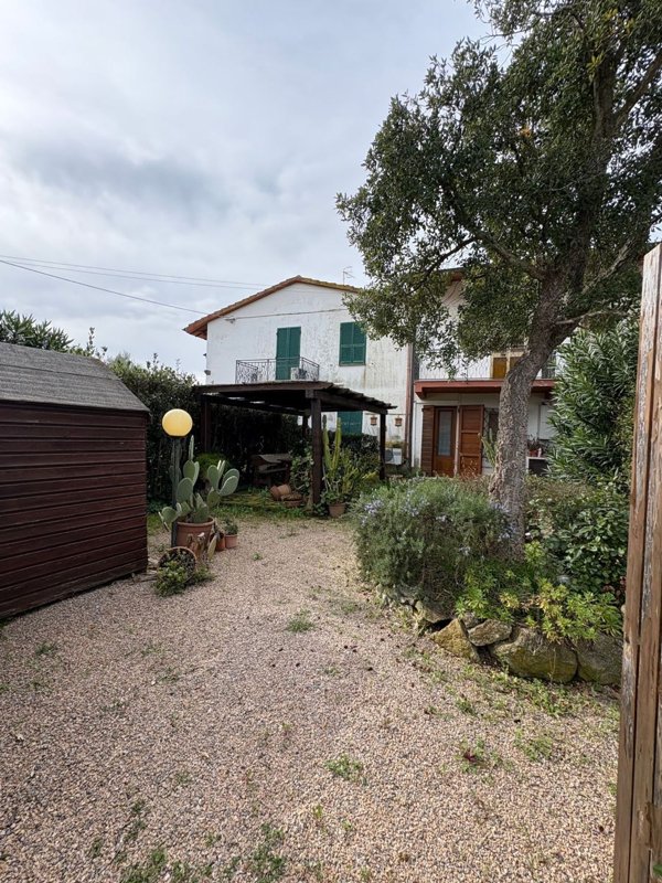 appartamento in vendita a Capalbio