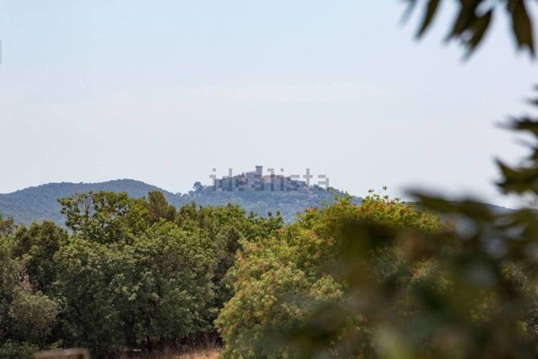 casa indipendente in vendita a Capalbio