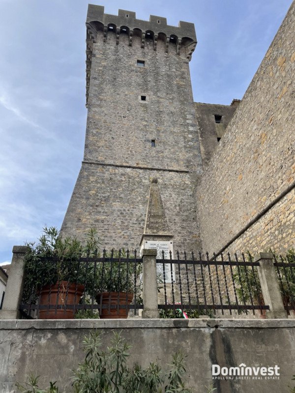 appartamento in vendita a Capalbio