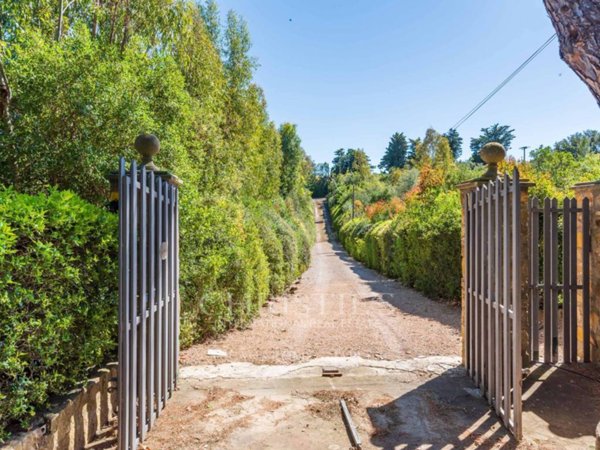 casa indipendente in vendita a Capalbio