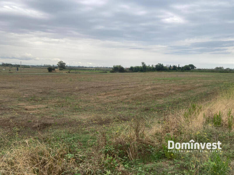 terreno agricolo in vendita a Capalbio