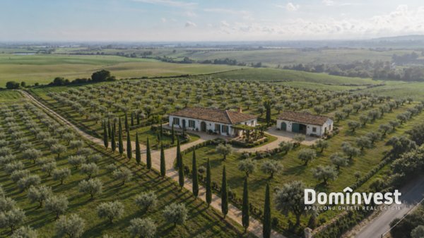 casa indipendente in vendita a Capalbio in zona Pescia Fiorentina