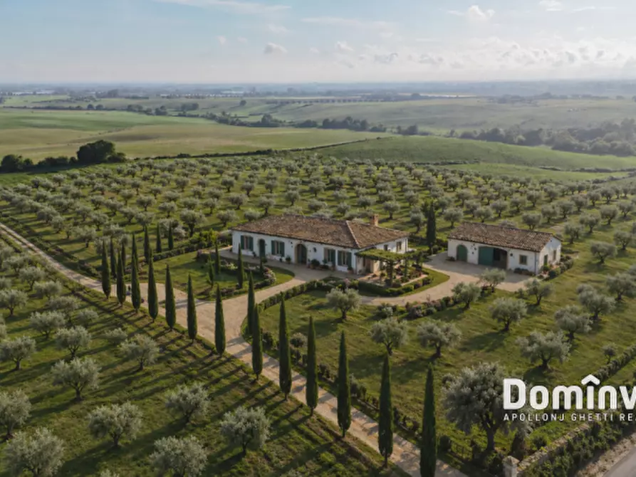 casa indipendente in vendita a Capalbio in zona Pescia Fiorentina