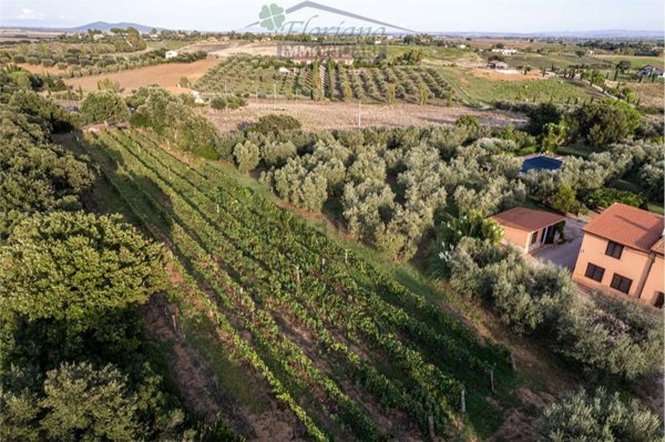 casa indipendente in vendita a Capalbio in zona Pescia Fiorentina
