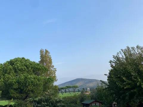 appartamento in vendita a Capalbio