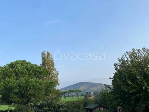 appartamento in vendita a Capalbio