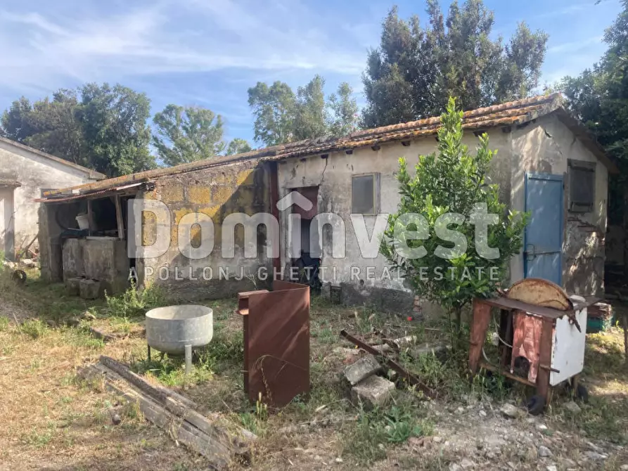 casale in vendita a Capalbio in zona Borgo Carige