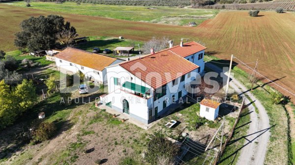 appartamento in vendita a Capalbio