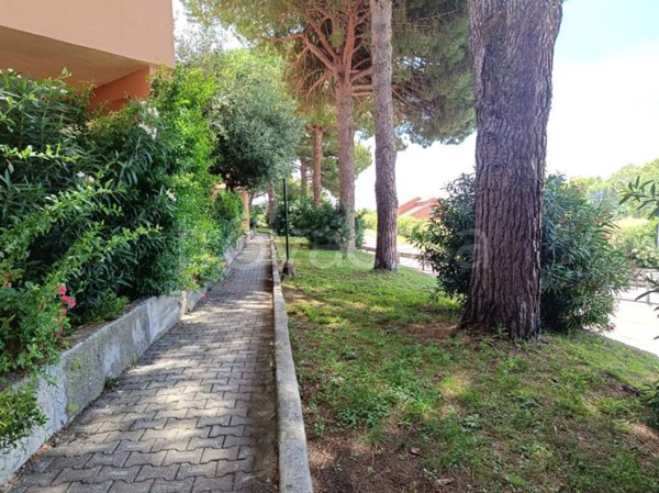 appartamento in vendita a Capalbio