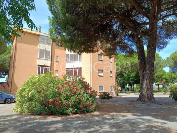 appartamento in vendita a Capalbio