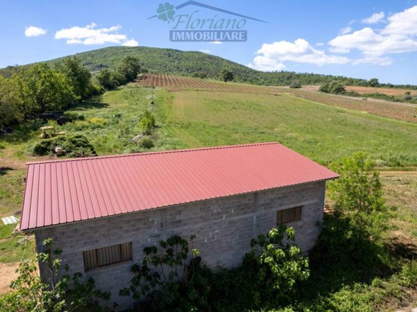 casa indipendente in vendita a Capalbio in zona Pescia Fiorentina