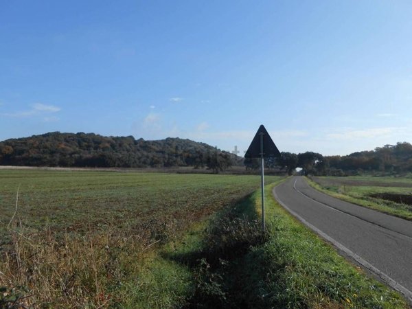 terreno agricolo in vendita a Capalbio