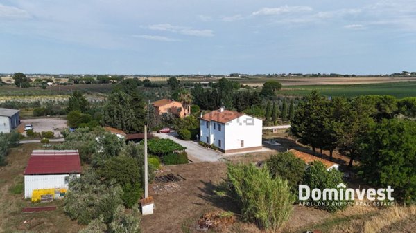 appartamento in vendita a Capalbio