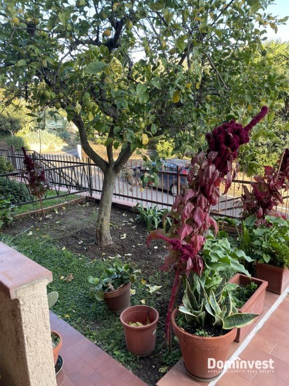 appartamento in vendita a Capalbio