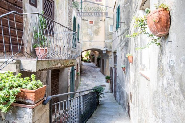 appartamento in vendita a Capalbio