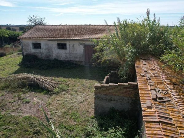 casale in vendita a Capalbio