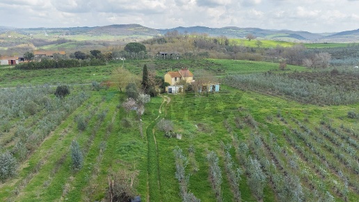 casale in vendita a Capalbio