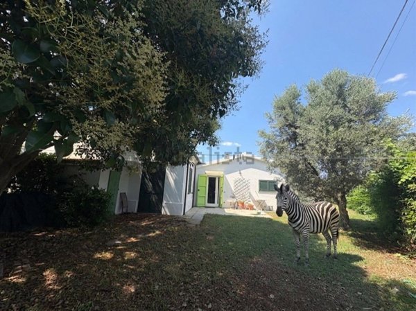 casa indipendente in vendita a Capalbio