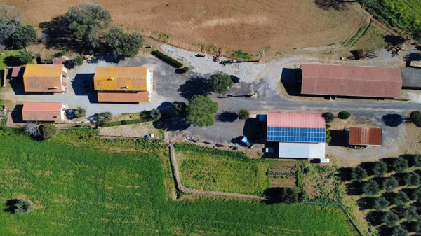casa indipendente in vendita a Capalbio