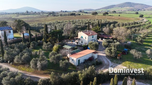 appartamento in vendita a Capalbio in zona Pescia Fiorentina