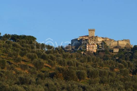 terreno agricolo in vendita a Capalbio