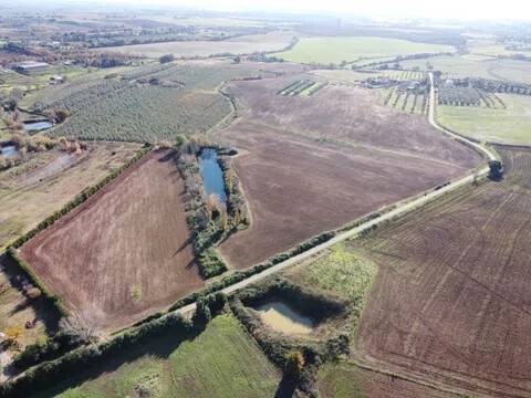terreno agricolo in vendita a Capalbio
