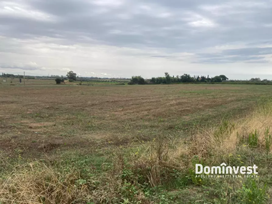 terreno agricolo in vendita a Capalbio in zona Borgo Carige