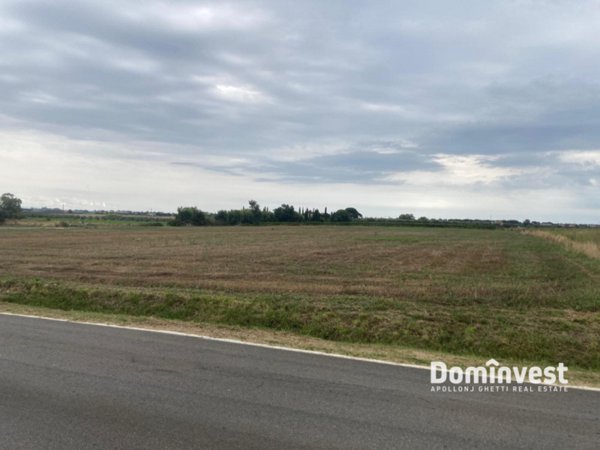 terreno agricolo in vendita a Capalbio in zona Borgo Carige