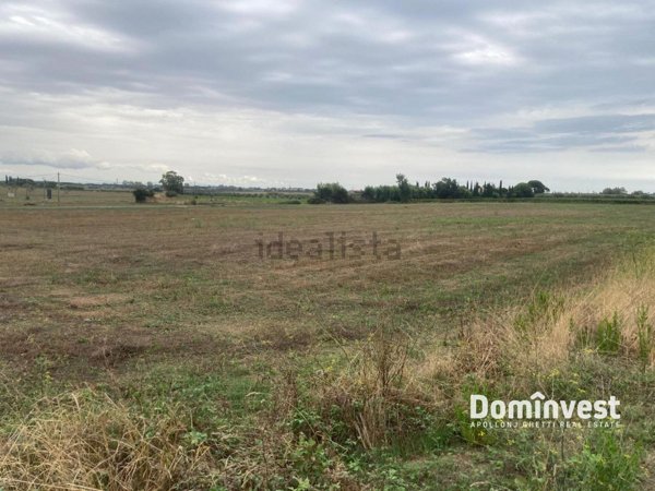 terreno agricolo in vendita a Capalbio in zona Borgo Carige