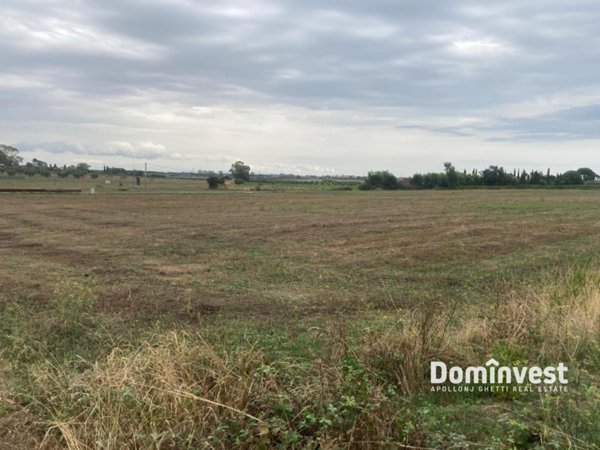 terreno agricolo in vendita a Capalbio in zona Borgo Carige