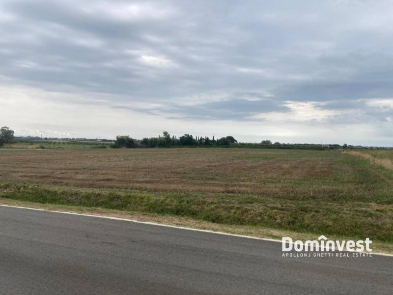 terreno agricolo in vendita a Capalbio in zona Borgo Carige