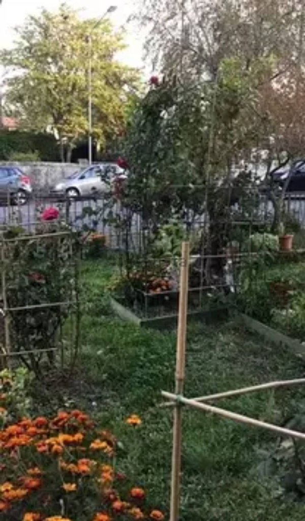 appartamento in vendita a Castel del Piano