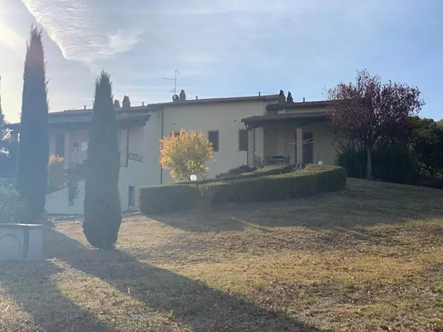 azienda agricola in vendita a Castel del Piano