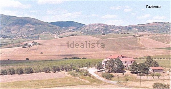 casale in vendita a Castel del Piano