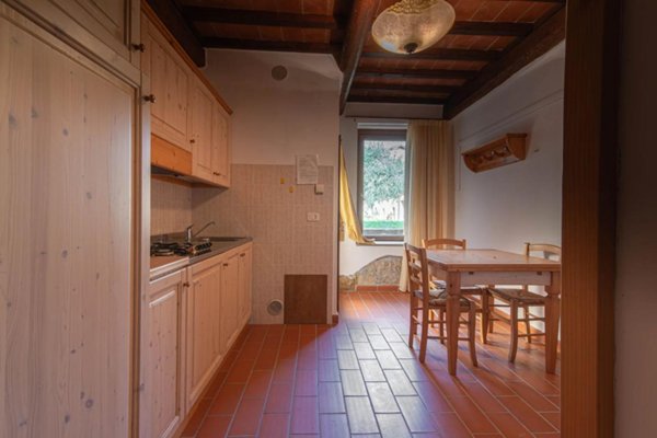 appartamento in vendita a Castel del Piano