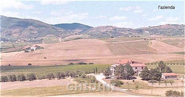 azienda agricola in vendita a Castel del Piano