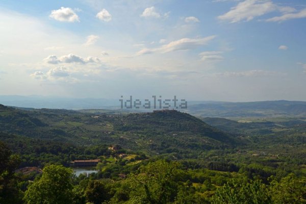 appartamento in vendita a Castel del Piano