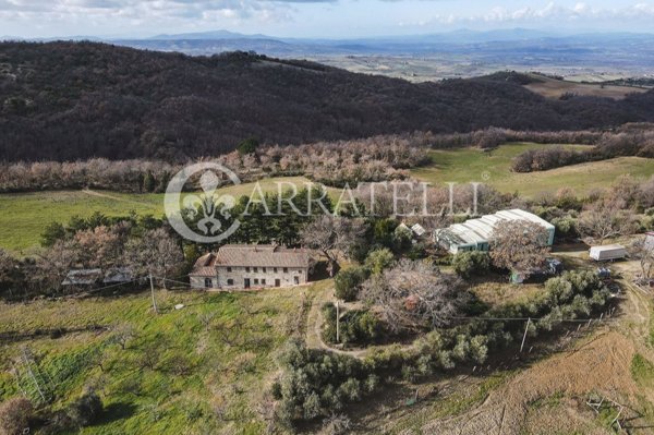 casale in vendita a Castel del Piano