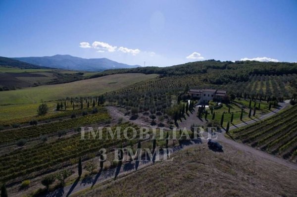 azienda agricola in vendita a Castel del Piano