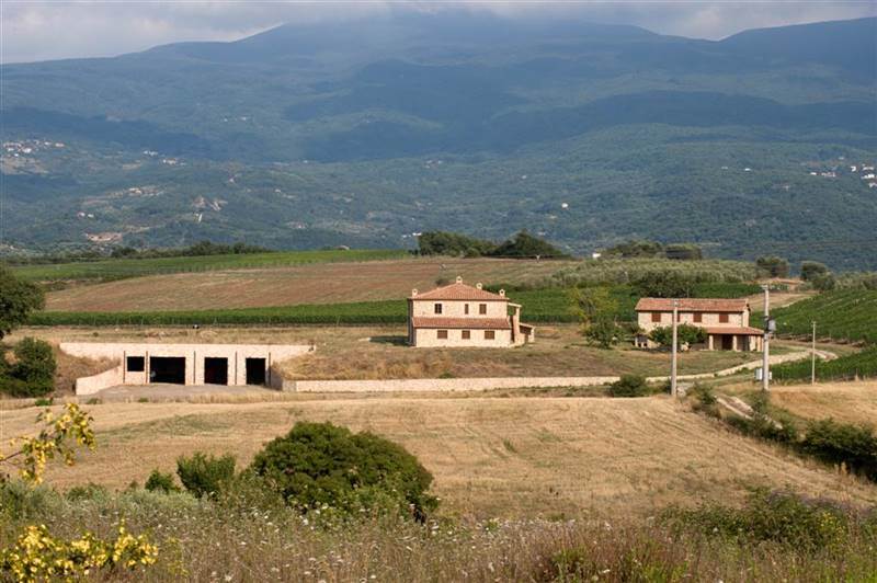 azienda agricola in vendita a Castel del Piano