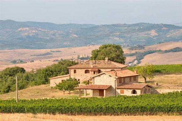 azienda agricola in vendita a Castel del Piano