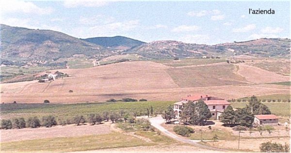 azienda agricola in vendita a Castel del Piano