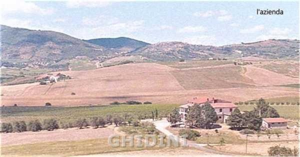 azienda agricola in vendita a Castel del Piano